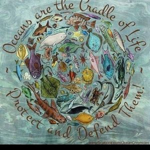 Meet your Posher, Lois